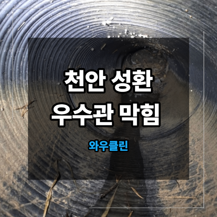 천안 서북구 성환 우수관 막힘 배관 내 각목 낙엽 토사 제거