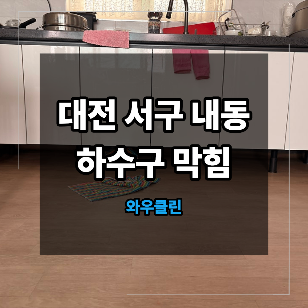 대전 서구 내동 주택 하수구 막힘 역류 원인